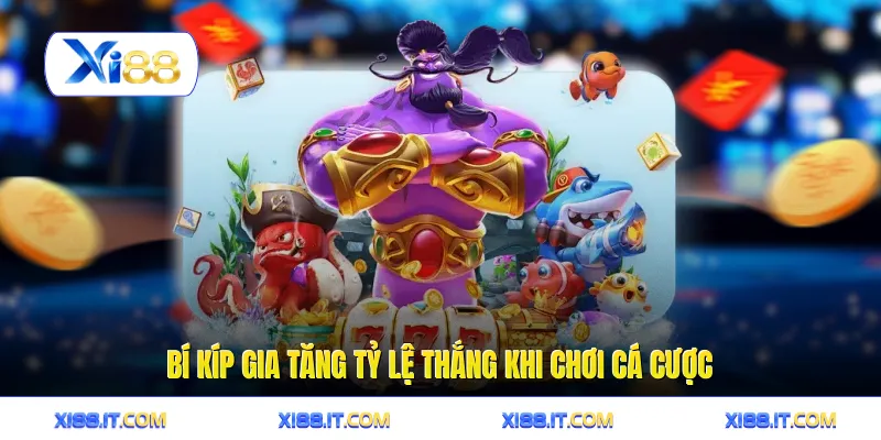 Bí kíp gia tăng tỷ lệ thắng khi chơi cá cược