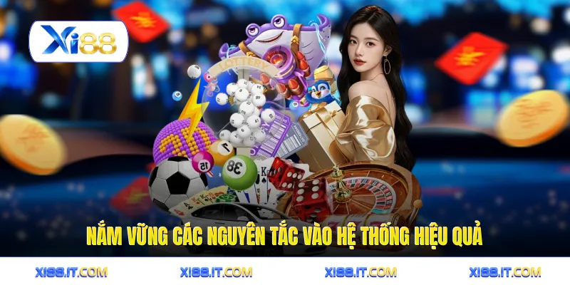 Nắm vững các nguyên tắc vào hệ thống hiệu quả