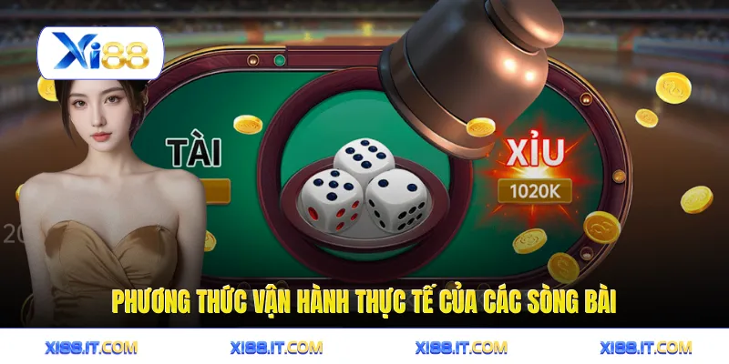 Phương thức vận hành thực tế của các sòng bài