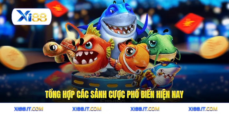 Tổng hợp các sảnh cược phổ biến hiện nay