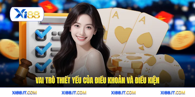 Vai trò thiết yếu của điều khoản và điều kiện