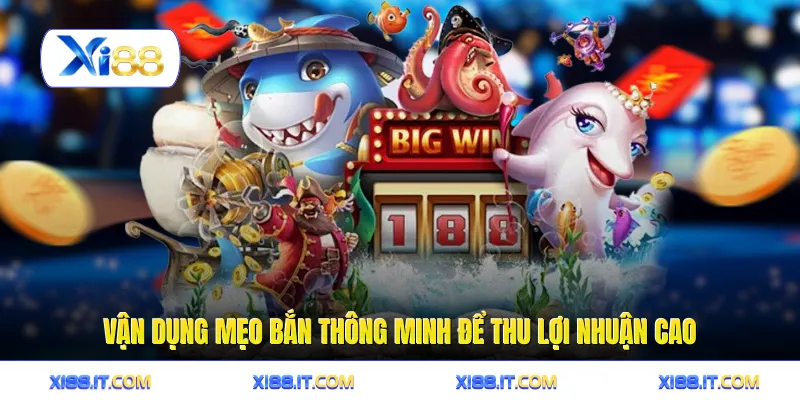 Vận dụng mẹo bắn thông minh để thu lợi nhuận cao