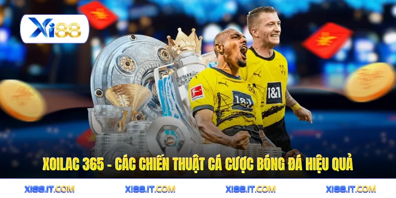 Xoilac 365 - Các Chiến Thuật Cá Cược Bóng Đá Hiệu Quả